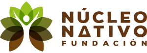 2022 Logo núcleo nativo
