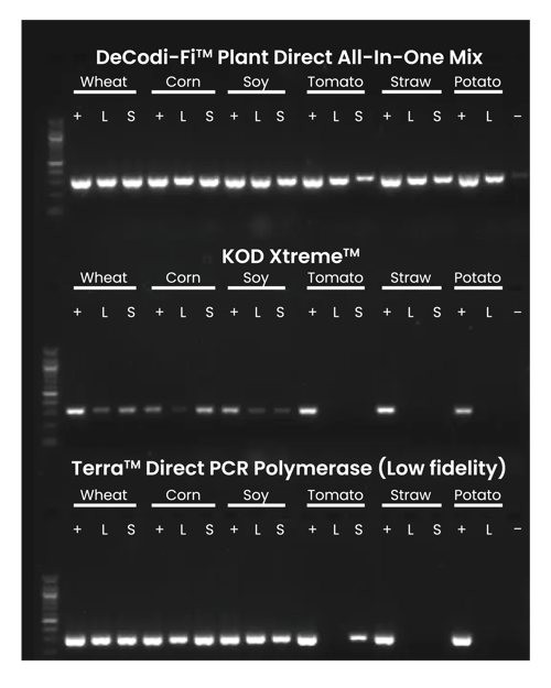 Blikka-AmplifyDiverse-Graph-1