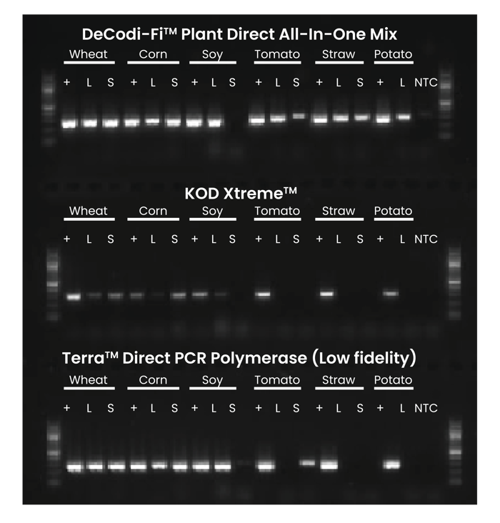 Blikka-AmplifyDiverse-Graph