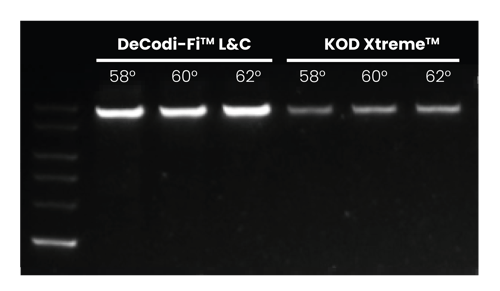 Amplification of the 10 kb human IGF2R gene using DeCodiFi™ Long&Complex and KOD Xtreme™, from 10 ng input DNA, tested at 58°C, 60°C, and 62°C annealing temperatures with 28 PCR cycles.