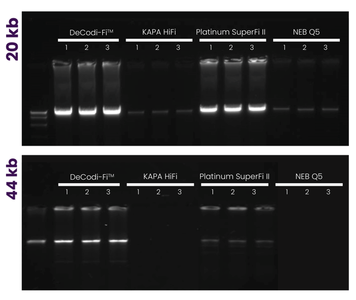 Blikka-LongAmplification-Graph-1