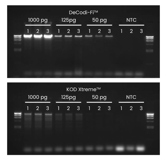 Blikka-LowInput-Graph-2