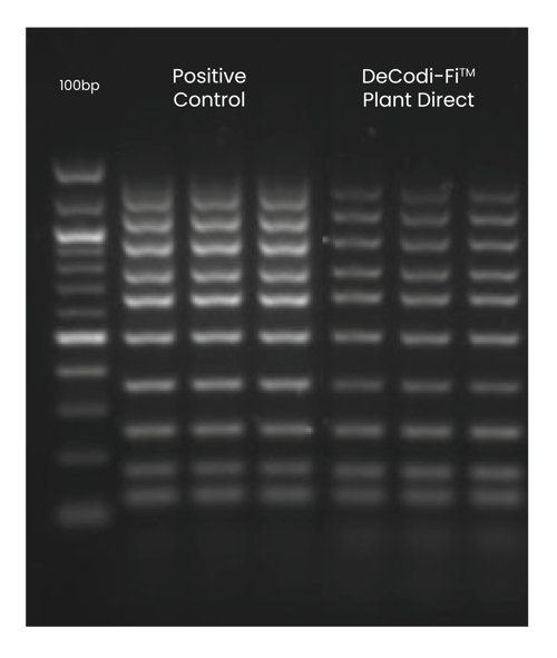 Blikka-MixedCapability-Graph