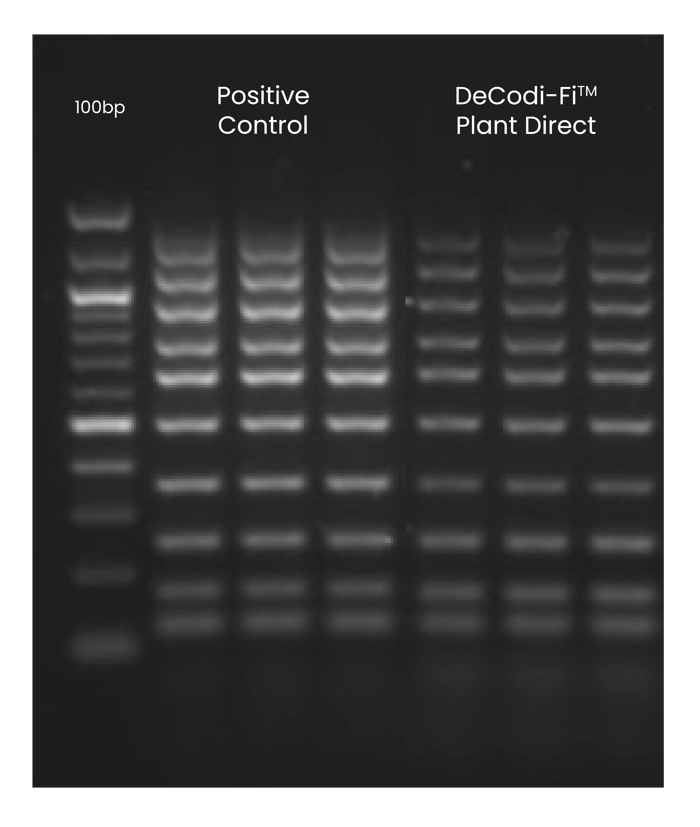 Blikka-MixedCapability-Graph