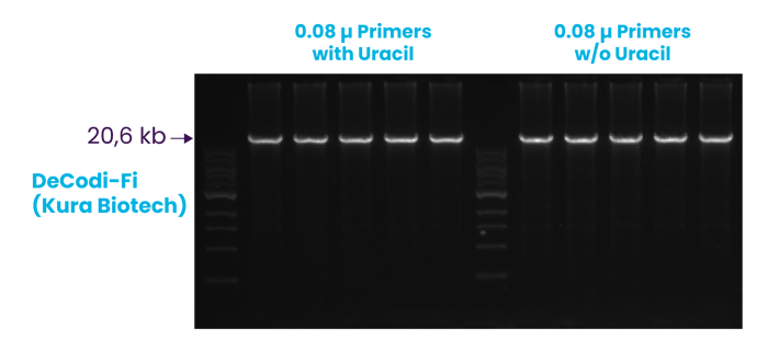 Blikka-Uracil-Graph-1