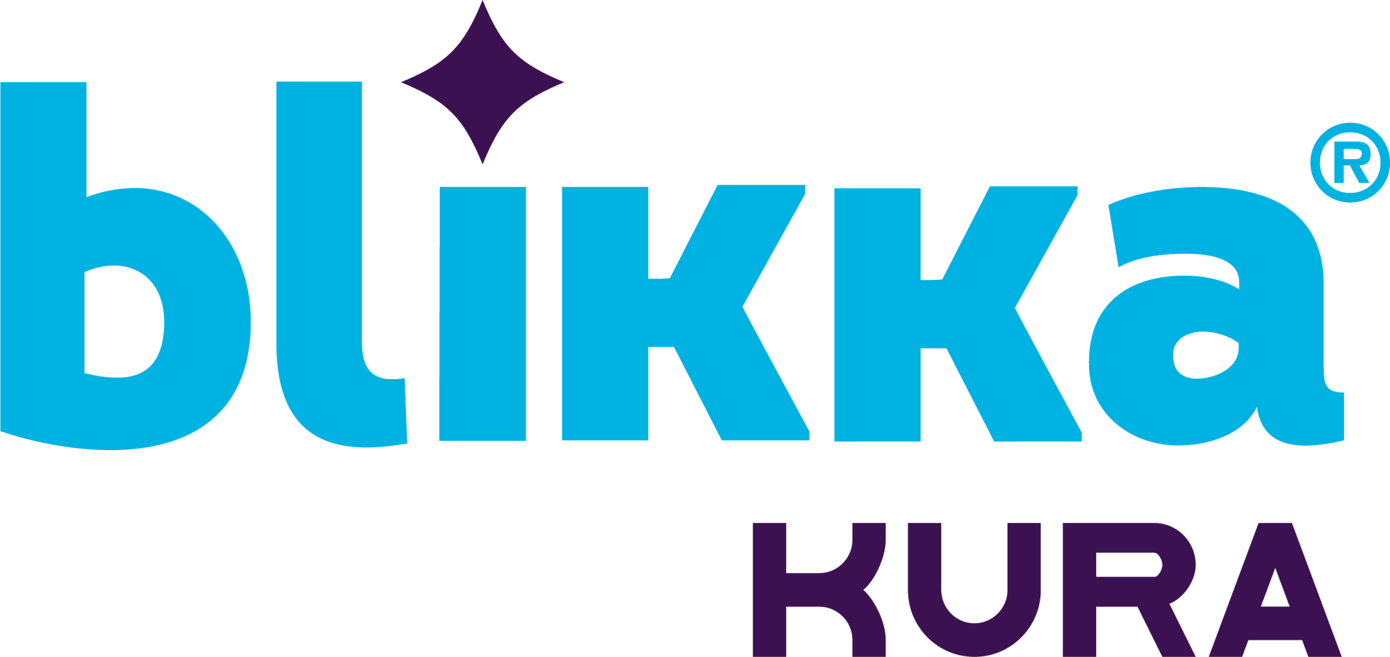 Blikka_Logo-1