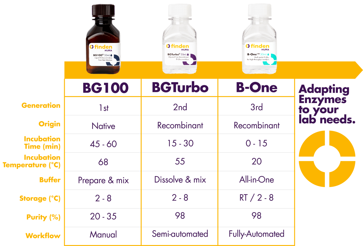 Finden_Workflow-Dec-16-2024-12-13-15-3457-PM