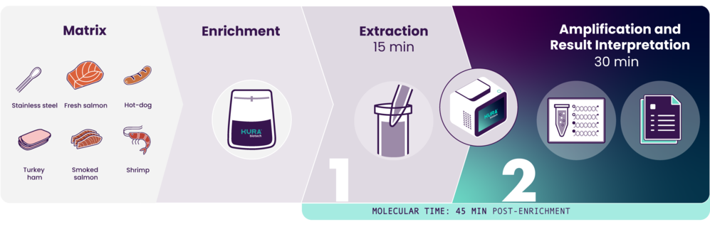 FoodSafety_Workflow_ListeriaEN (1)