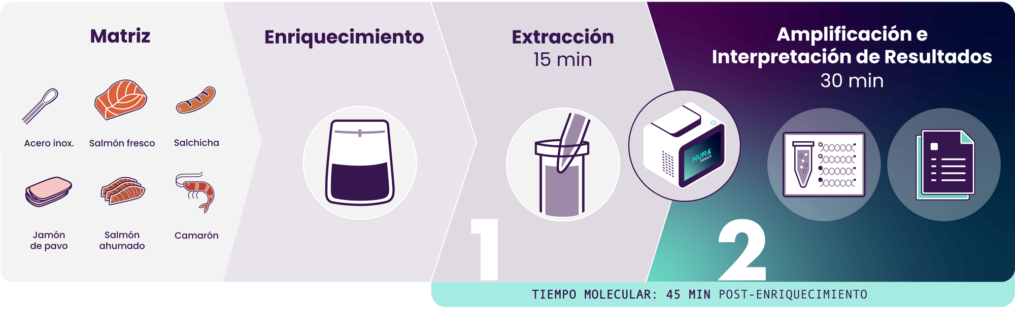 FoodSafety_Workflow_ListeriaES-3