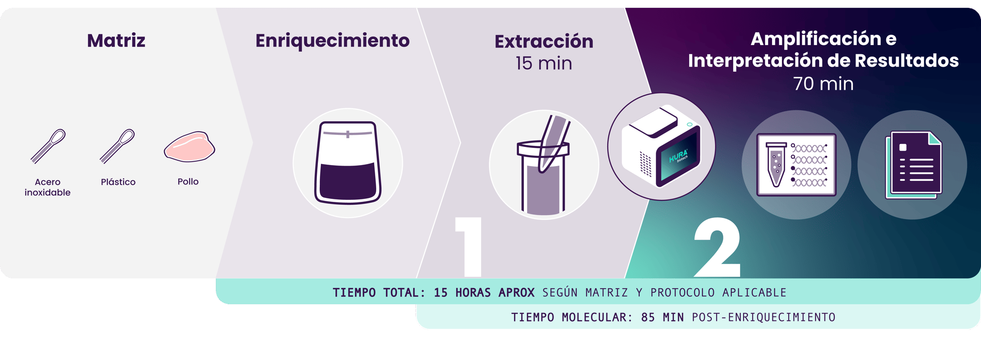 FoodSafety_Workflow_SalmonellaES copia 2