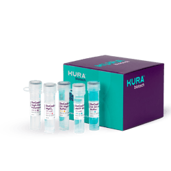 Kura_DeCodiFi-HiFi-PCRkit Kura_DeCodiFi-HiFi-PCRkit