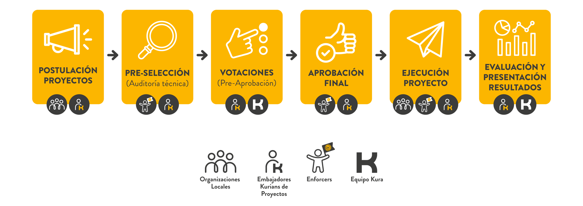 Liquen_Etapas_ES Liquen_Etapas_ES