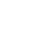 Logo Liquen Blanco ES