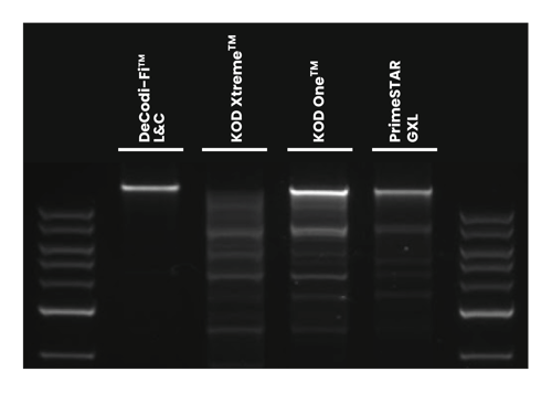 Amplification of 30 kb human DNA using DeCodiFi™ Long&Complex, KOD Xtreme™, KOD One™, and PrimeSTAR GXL, from 10 ng input and 30 PCR cycles.