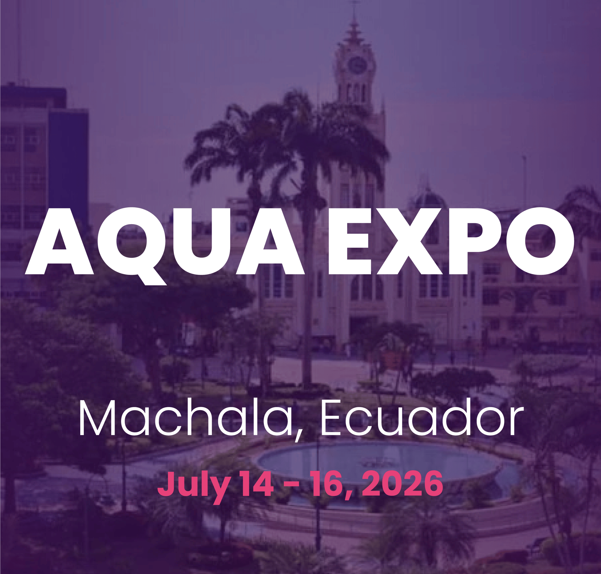 MACHALA EN MACHALA EN