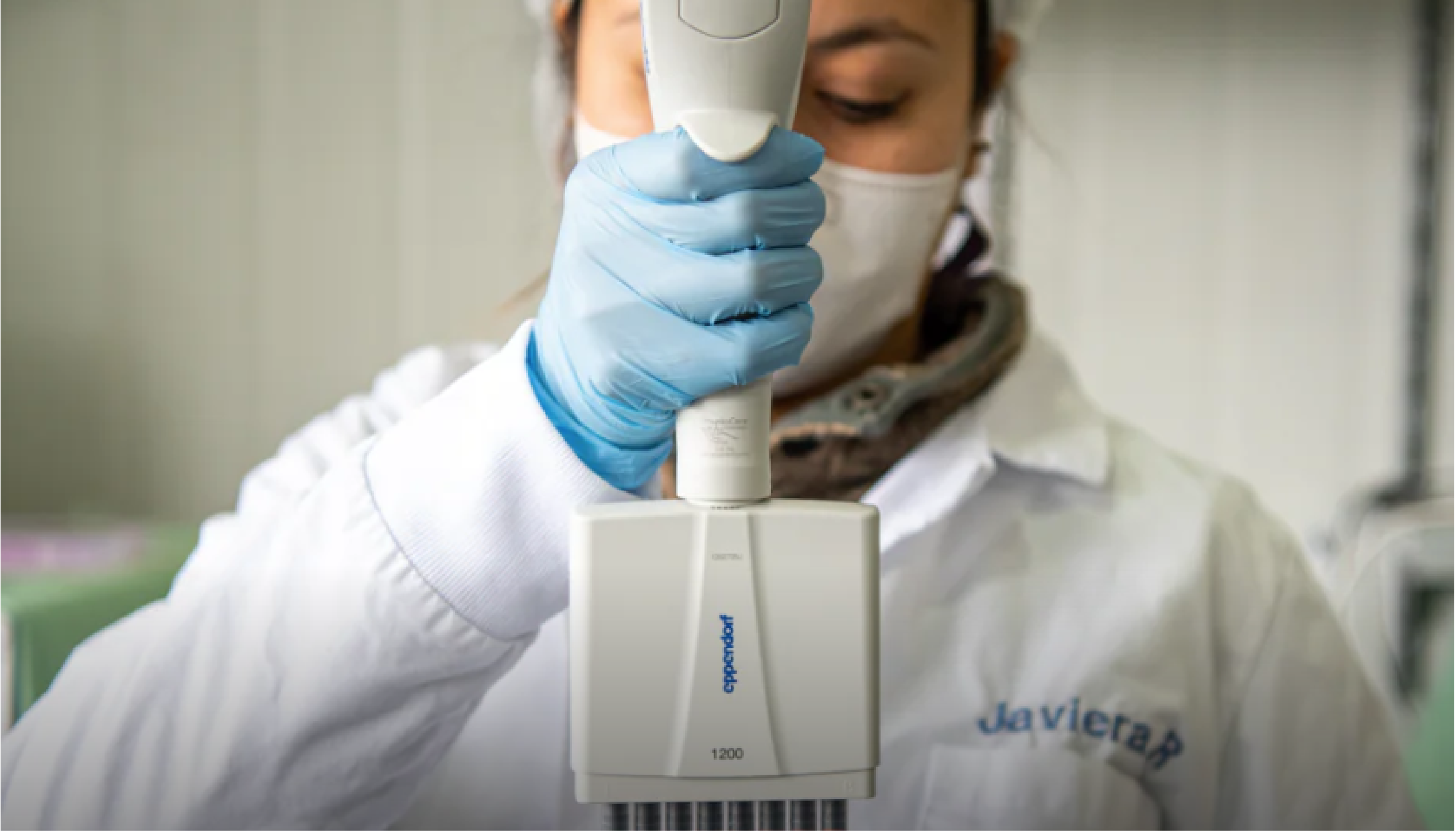 Recurso 4-Jul-02-2025-02-14-20-1536-PM