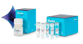 blikka_product_decodifi-twoformat