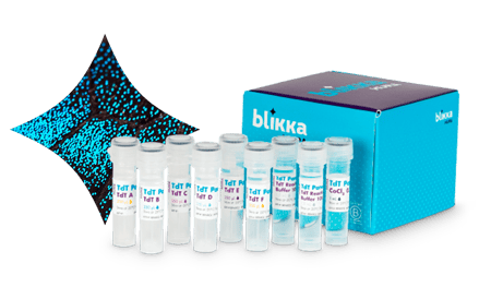 blikka_product_tdt-star