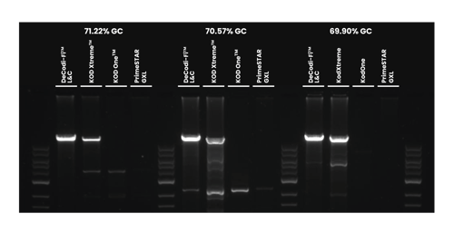 Amplification of 20 kb Streptomyces leeuwenhoekii genomic DNA using DeCodiFi™ Long&Complex, KOD Xtreme™, KOD One™, and PrimeSTAR GXL, from 4 ng input and 27 PCR cycles.