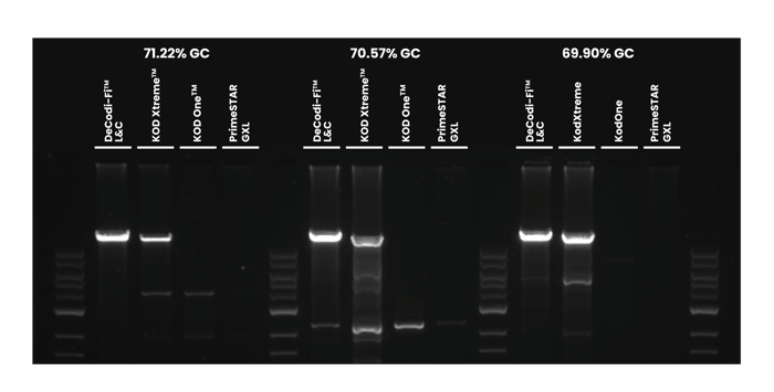 graficos_HighComplexityAccuracy-Graph