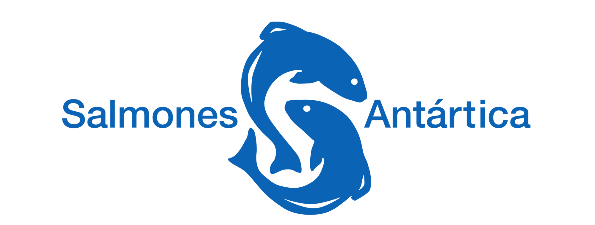logo (1)