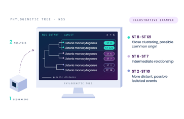 phylogenetic-tree-ngs