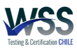 wss