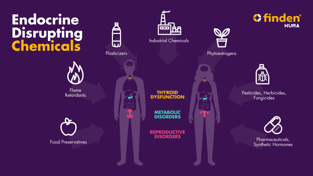Detecting Endocrine Disrupting Chemicals in Human Urine: Advancements and Concerns