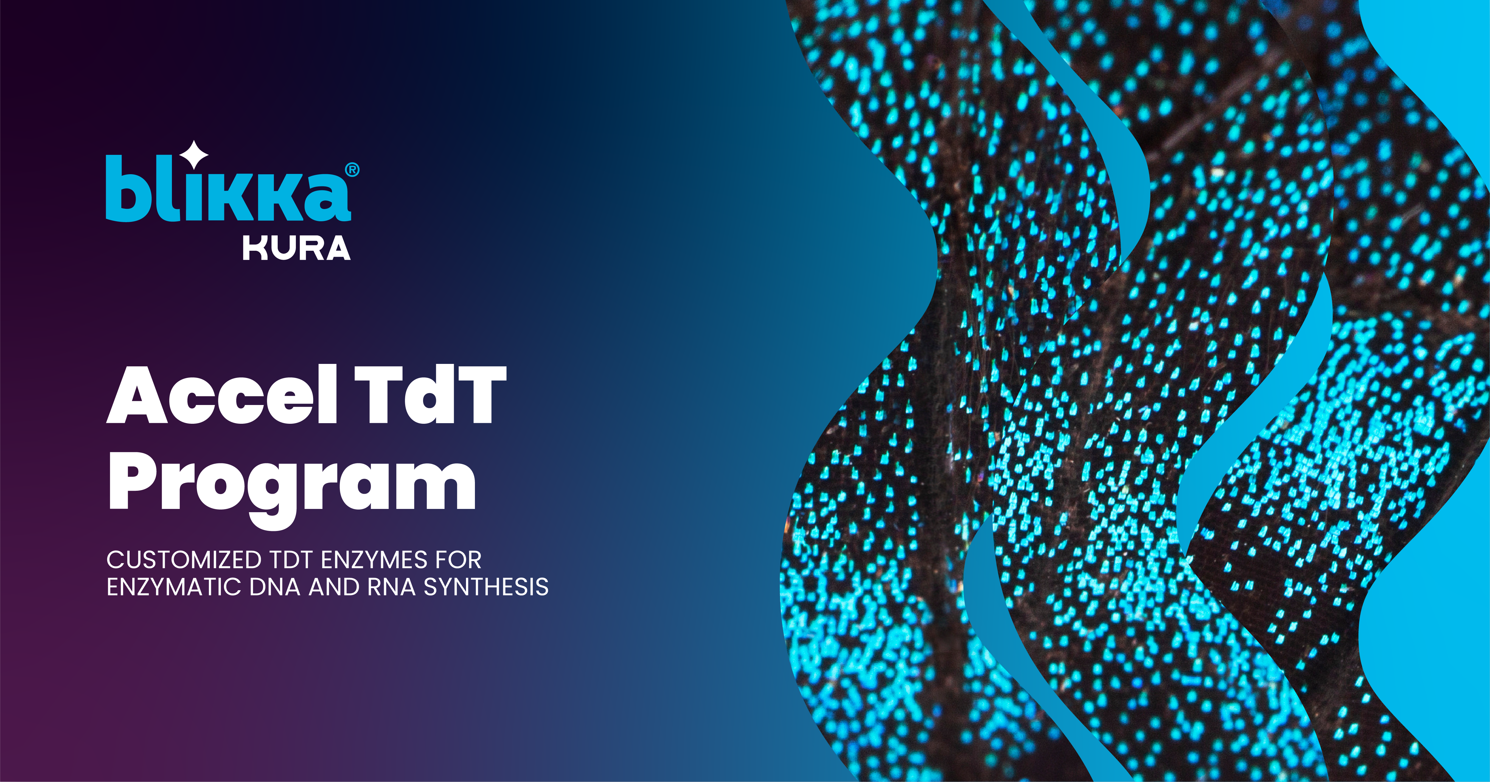Customized TdT Enzymes for DNA and RNA Synthesis | Accel TdT Program
