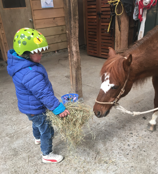 Captura de pantalla 2025-05-23 a la(s) 4.47.41 p. m.