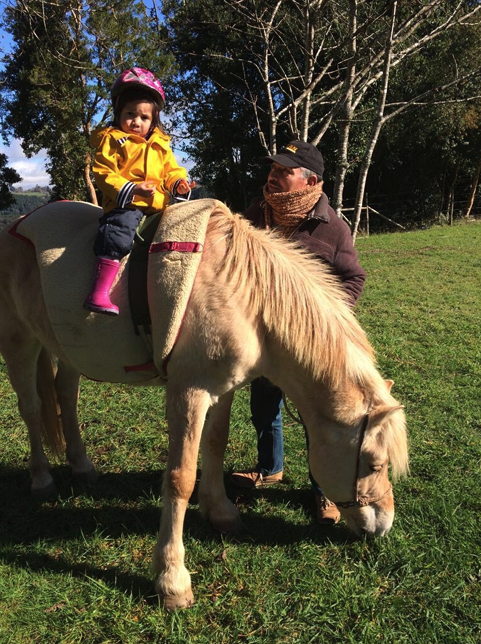 Hipoterapia I (2018)