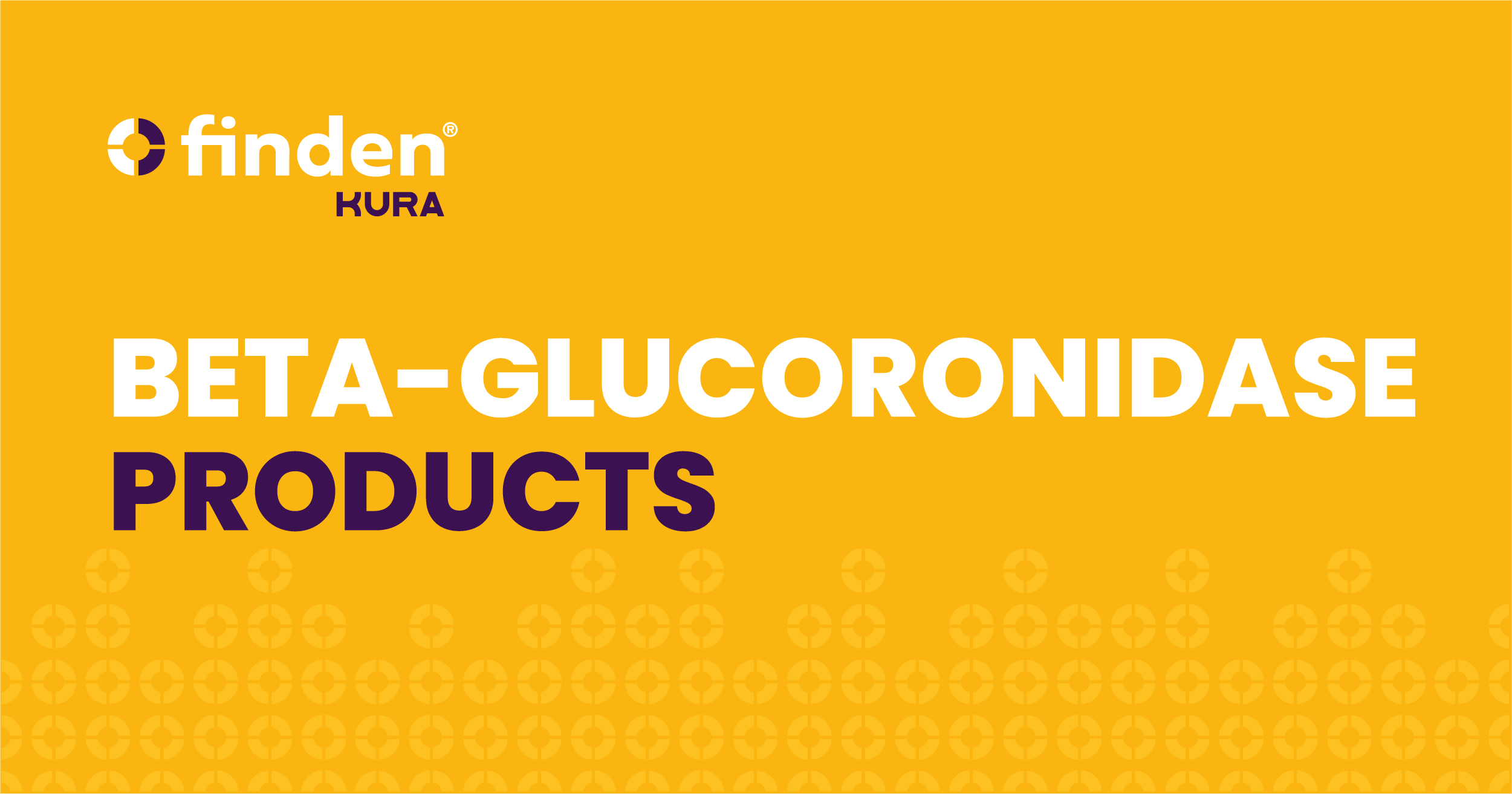 Beta-Glucuronidase Enzymes