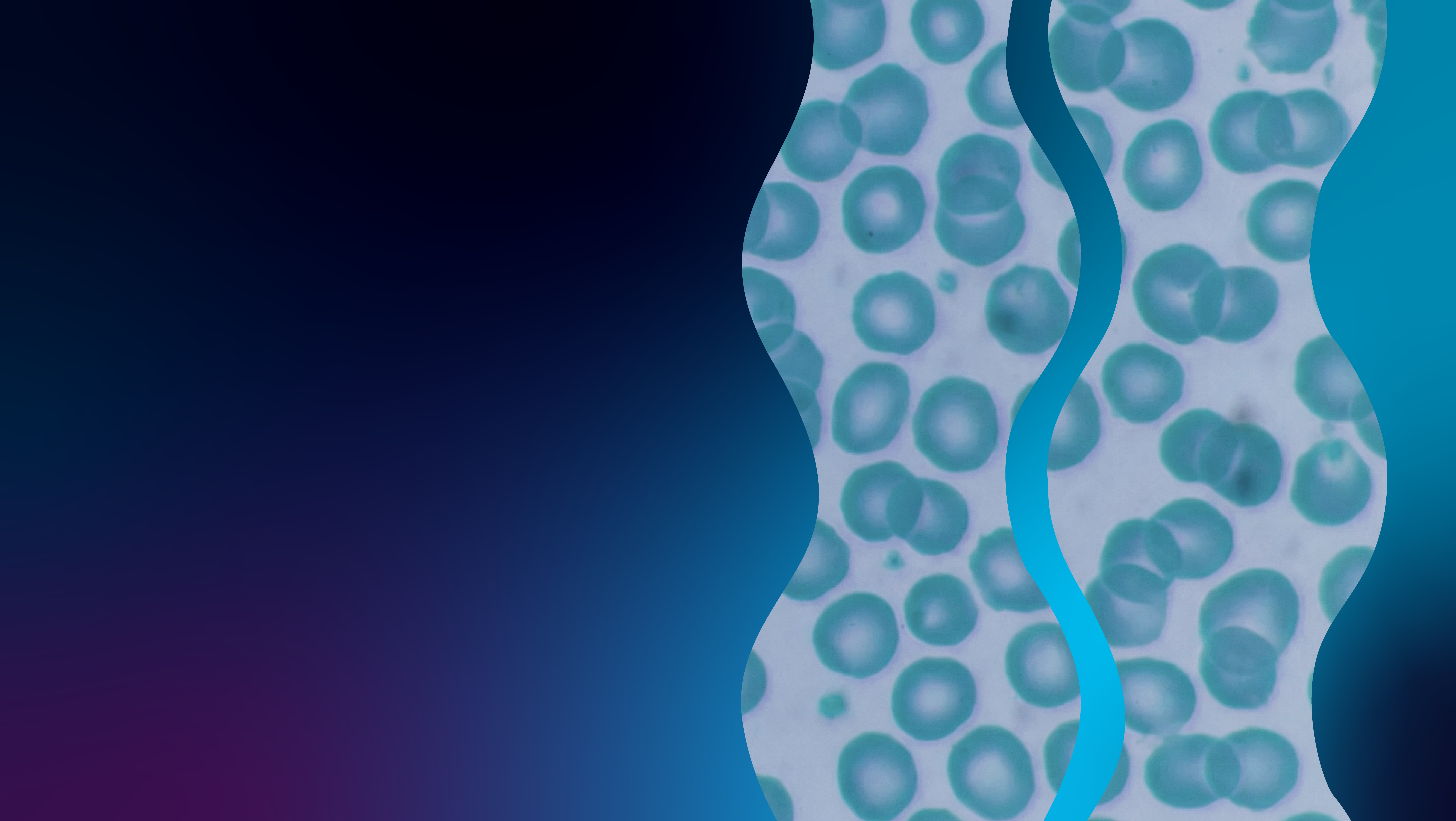  Hero - DeCodiFi-BloodDirect-10-1 