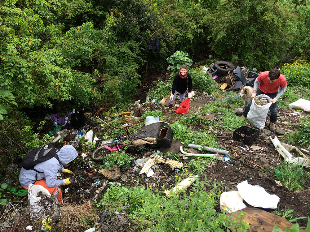 Quebrada Parque (2019)