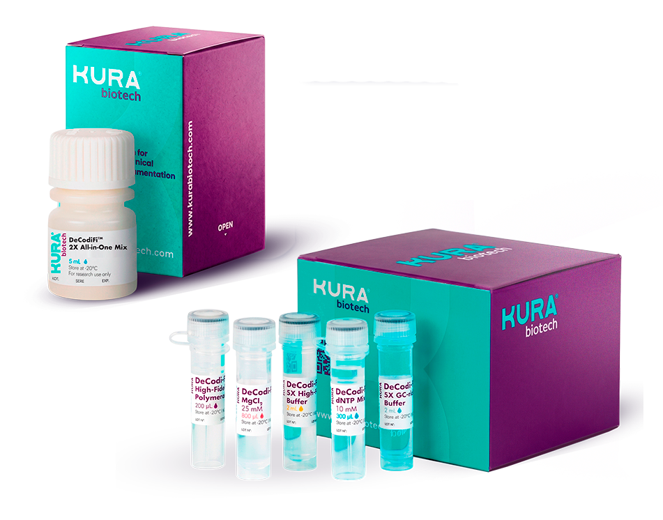 DeCodiFi High-Fidelity Polymerase