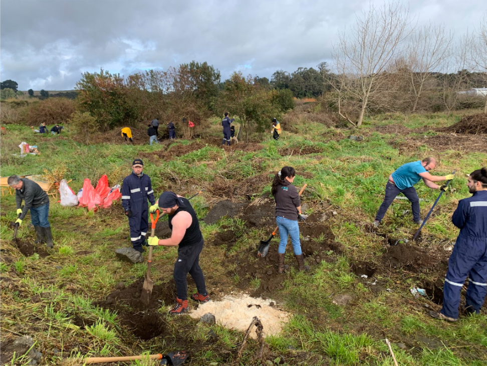 Humedal de Pargua II (2024)