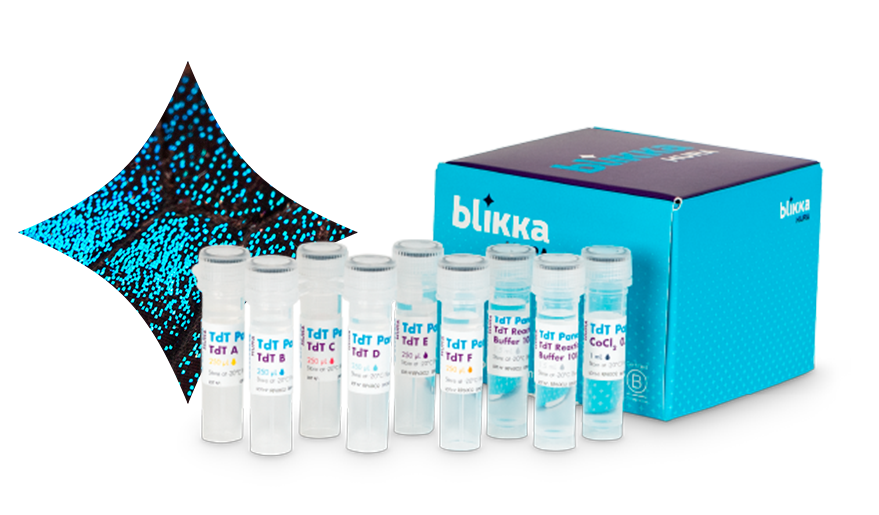 blikka_product_tdt-star